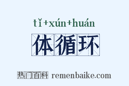 体循环是什么意思的图片